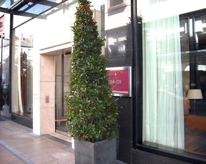The Savoy Hotel ลิเมอริค ภายนอก รูปภาพ A bay laurel tree